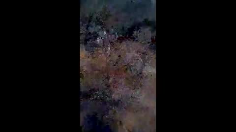 Snapshot of lestercameran80 chatting on June 9, 2026, 10:16 am lestercameran80 online show from June 9, 2026, 10:16 am