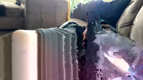 letgetnaughty12345 online show from March 24, 2026, 3:06 pm