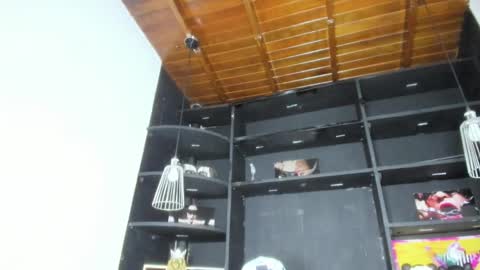Snapshot of levy_steve chatting on February 19, 2025, 10:23 am LevySteven online show from February 19, 2025, 10:23 am