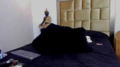 Snapshot of levy_steve chatting on March 11, 2025, 9:02 am LevySteven online show from March 11, 2025, 9:02 am