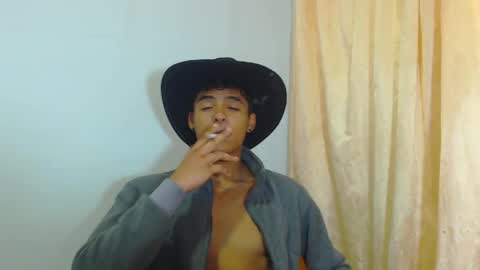 Snapshot of lewis_ly chatting on April 11, 2026, 5:17 pm i am lewis ly EDUARDO MEMDOZA15 online show from April 11, 2026, 5:17 pm