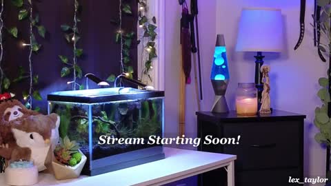 Lex online show from December 19, 2024, 4:46 pm