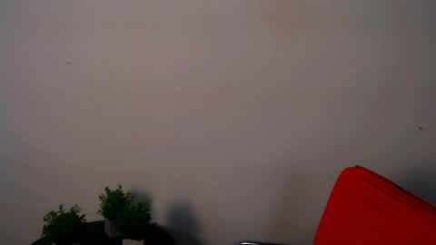 Alexia online show from May 15, 2026, 11:17 am
