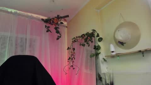   online show from December 14, 2024, 2:34 am