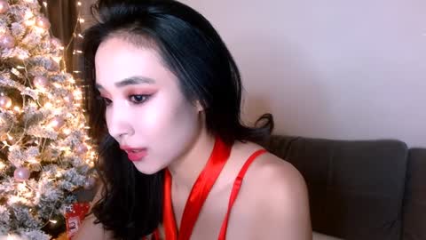 Li  online show from December 27, 2024, 8:39 pm