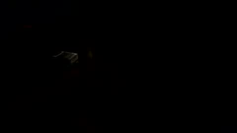 Liararegau online show from January 3, 2025, 2:32 am