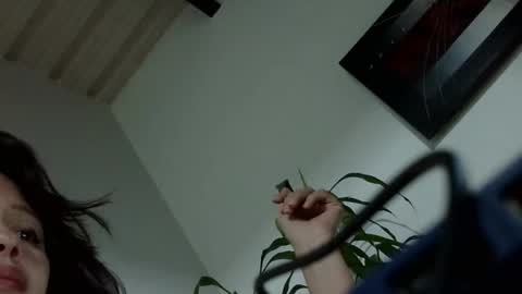 Snapshot of liarysmaag17 chatting on December 8, 2024, 3:21 am liarysmaag17 online show from December 8, 2024, 3:21 am