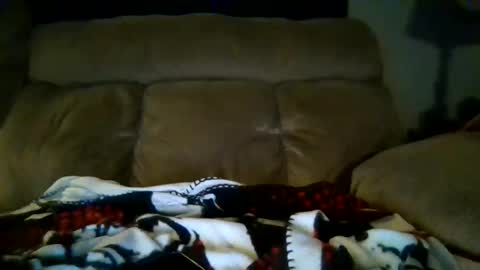 lickeypus online show from February 15, 2026, 7:51 am