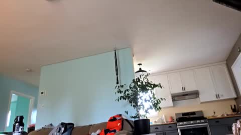 lickurpussygood40 online show from October 24, 2025, 5:31 pm