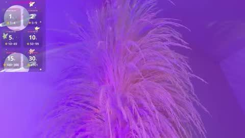 Liiam Luna online show from December 17, 2025, 9:04 am