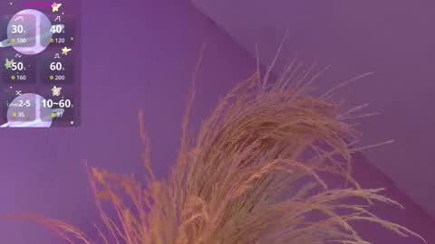 Liiam Luna online show from January 14, 2026, 9:04 am