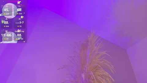 Liiam Luna online show from April 24, 2026, 11:01 am