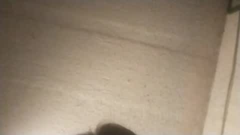 like2816 online show from February 3, 2025, 9:30 am