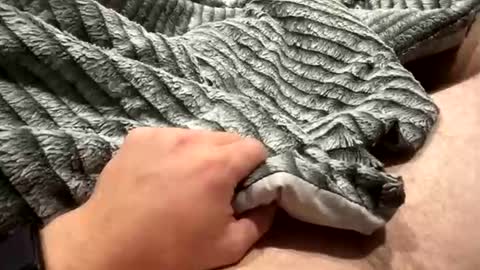 likeaboss820 online show from October 29, 2025, 2:03 am