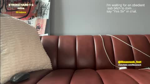 Snapshot of likeasnack chatting on April 15, 2026, 2:24 pm likeasnack online show from April 15, 2026, 2:24 pm