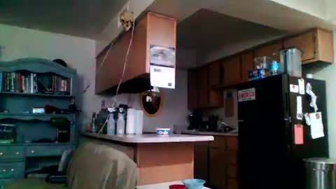 Snapshot of likerightnow chatting on April 2, 2026, 3:04 am likerightnow online show from April 2, 2026, 3:04 am