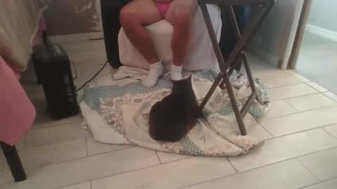 lildicksissy online show from November 28, 2025, 5:59 pm