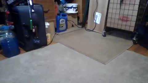 Snapshot of lildman420 chatting on March 14, 2026, 5:51 pm lildman420 online show from March 14, 2026, 5:51 pm