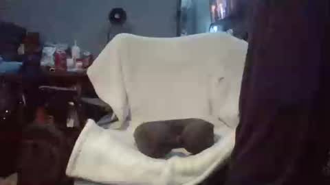 Snapshot of lildman420 chatting on March 24, 2026, 9:42 pm lildman420 online show from March 24, 2026, 9:42 pm