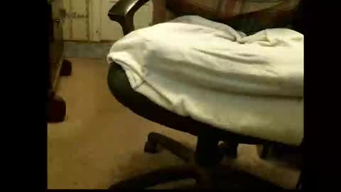 Snapshot of lile_luvit chatting on March 1, 2026, 5:37 pm Sasquatch online show from March 1, 2026, 5:37 pm