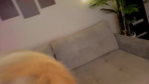 Snapshot of lililok101 chatting on October 17, 2025, 2:04 am lililok101 online show from October 17, 2025, 2:04 am