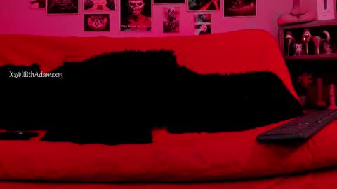 Snapshot of lilith_deveraux_ chatting on October 22, 2025, 2:06 pm MISTRESS LILITH online show from October 22, 2025, 2:06 pm