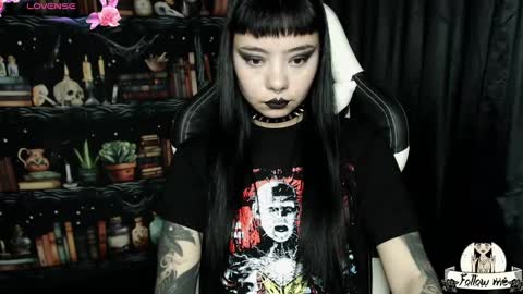   online show from December 20, 2024, 12:08 am