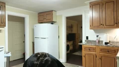 Snapshot of lilly_adams88 chatting on November 24, 2025, 11:04 pm lilly_adams88 online show from November 24, 2025, 11:04 pm