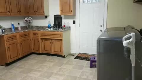 Snapshot of lilly_adams88 chatting on February 18, 2026, 11:55 pm lilly_adams88 online show from February 18, 2026, 11:55 pm