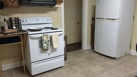 Snapshot of lilly_adams88 chatting on February 20, 2026, 2:52 am lilly_adams88 online show from February 20, 2026, 2:52 am