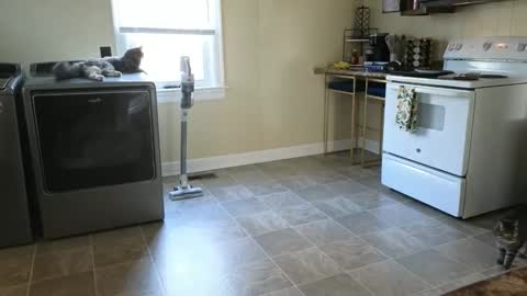 Snapshot of lilly_adams88 chatting on March 21, 2026, 9:51 pm lilly_adams88 online show from March 21, 2026, 9:51 pm