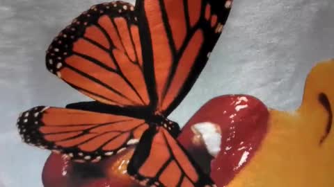 Snapshot of lilvioletxxx chatting on November 29, 2025, 4:15 am Little Violet online show from November 29, 2025, 4:15 am