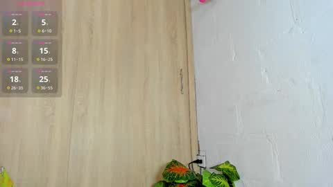   online show from November 5, 2025, 6:08 pm