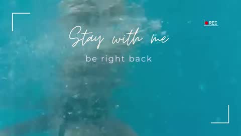 Lily online show from September 25, 2025, 5:33 am