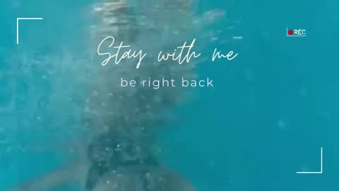 Lily online show from November 19, 2025, 12:27 pm