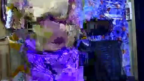 limaakter246618 online show from October 21, 2025, 4:41 pm