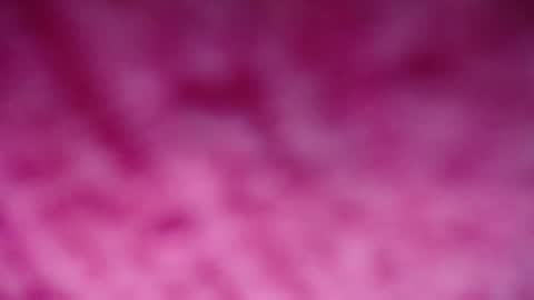 Snapshot of lindsey_2023 chatting on December 29, 2024, 9:20 pm lindsey_2023 online show from December 29, 2024, 9:20 pm