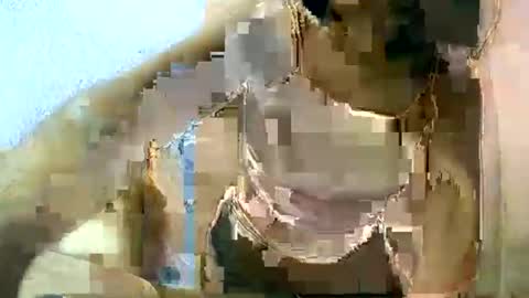 Snapshot of liora_selene chatting on March 11, 2025, 6:53 am liora online show from March 11, 2025, 6:53 am
