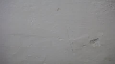 lisa_branch online show from October 6, 2025, 7:11 pm