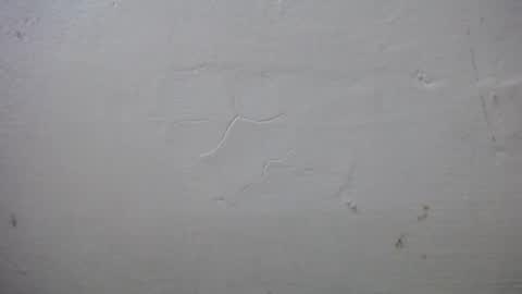 lisa_branch online show from October 13, 2025, 7:25 pm