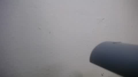 lisa_branch online show from November 4, 2025, 7:02 pm