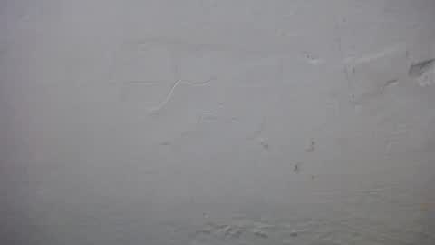 lisa_branch online show from November 23, 2025, 10:37 am