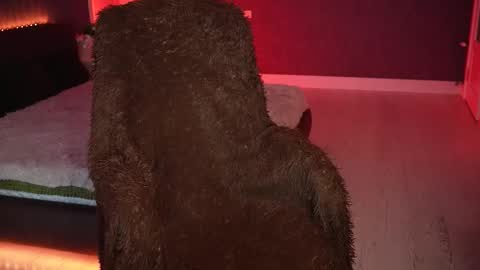 lisa_elfy online show from March 18, 2026, 3:37 pm