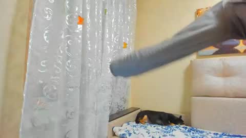 Lisasimsxs online show from August 1, 2026, 3:50 am