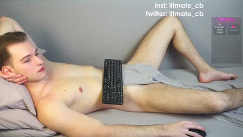 Snapshot of litmate chatting on December 20, 2024, 1:47 am ask me online show from December 20, 2024, 1:47 am