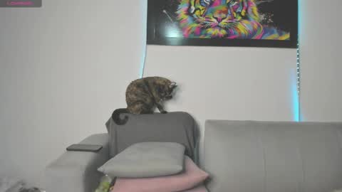 Snapshot of little_caro13 chatting on March 11, 2025, 9:26 pm Independent model carolina online show from March 11, 2025, 9:26 pm