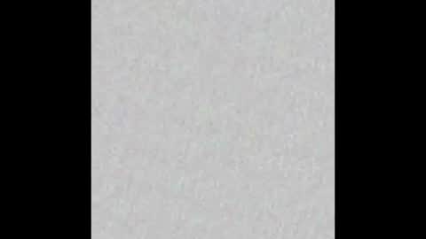 Snapshot of little_paw chatting on October 20, 2025, 4:46 am Adaline online show from October 20, 2025, 4:46 am