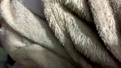 Snapshot of little_sissy_wendy chatting on February 28, 2025, 9:33 pm little_sissy_wendy online show from February 28, 2025, 9:33 pm