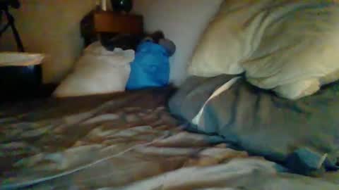 livecock89 online show from February 5, 2025, 12:38 pm