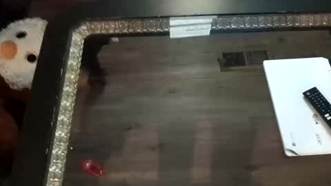 Snapshot of ljandcherry chatting on November 1, 2025, 7:21 am LjCherry online show from November 1, 2025, 7:21 am